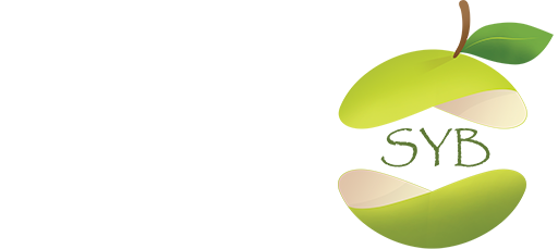 وب سایت رسمی سلامت یاران بامداد